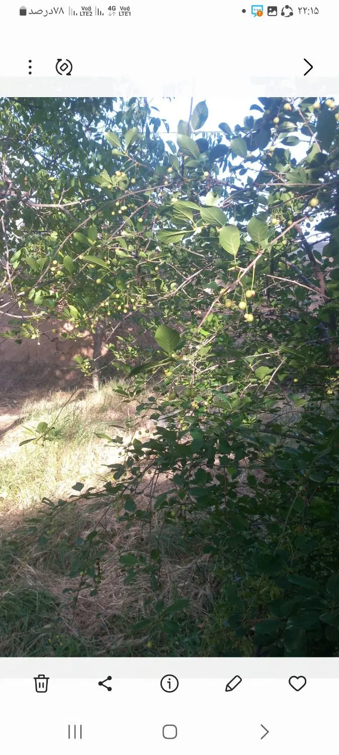 فروش زمین باغی مسکونی