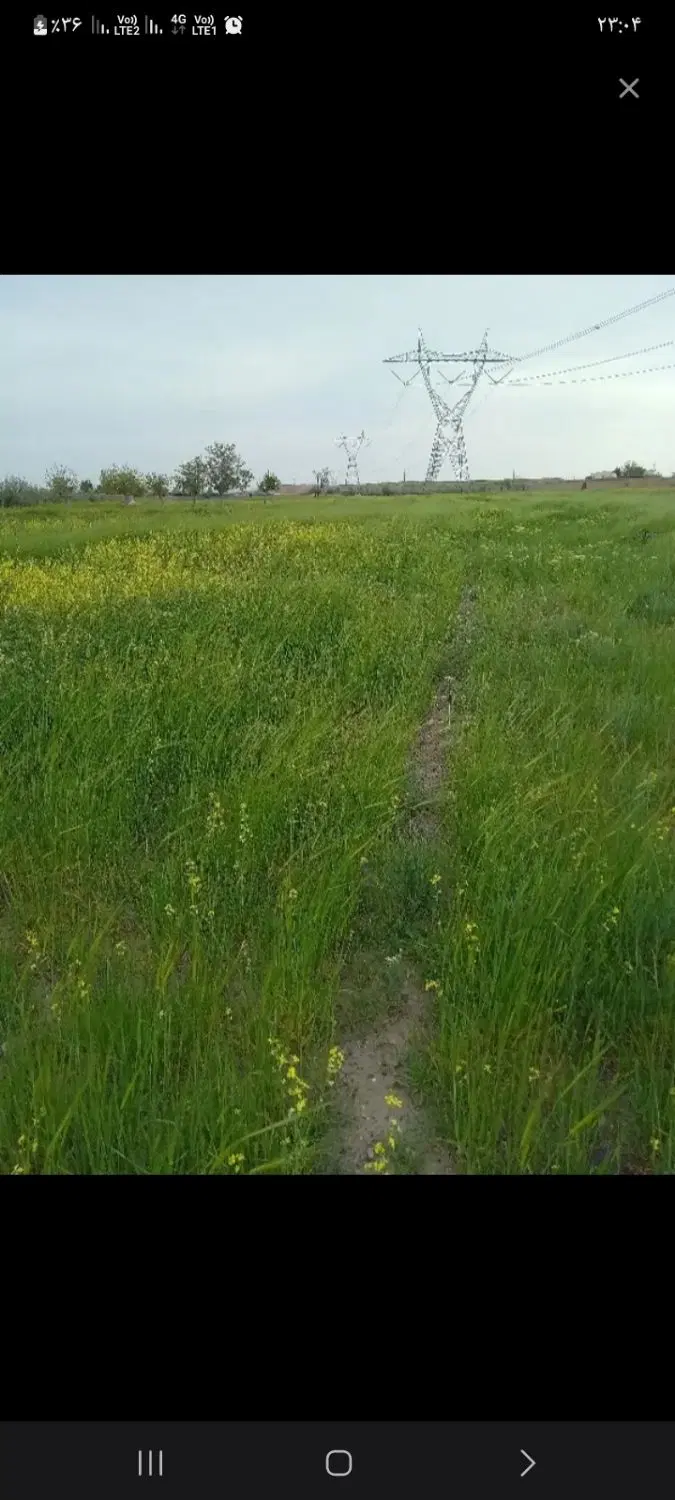 ۶هزار متر زمین برای باغ و کشاورزی در جاده صنوبرمفت