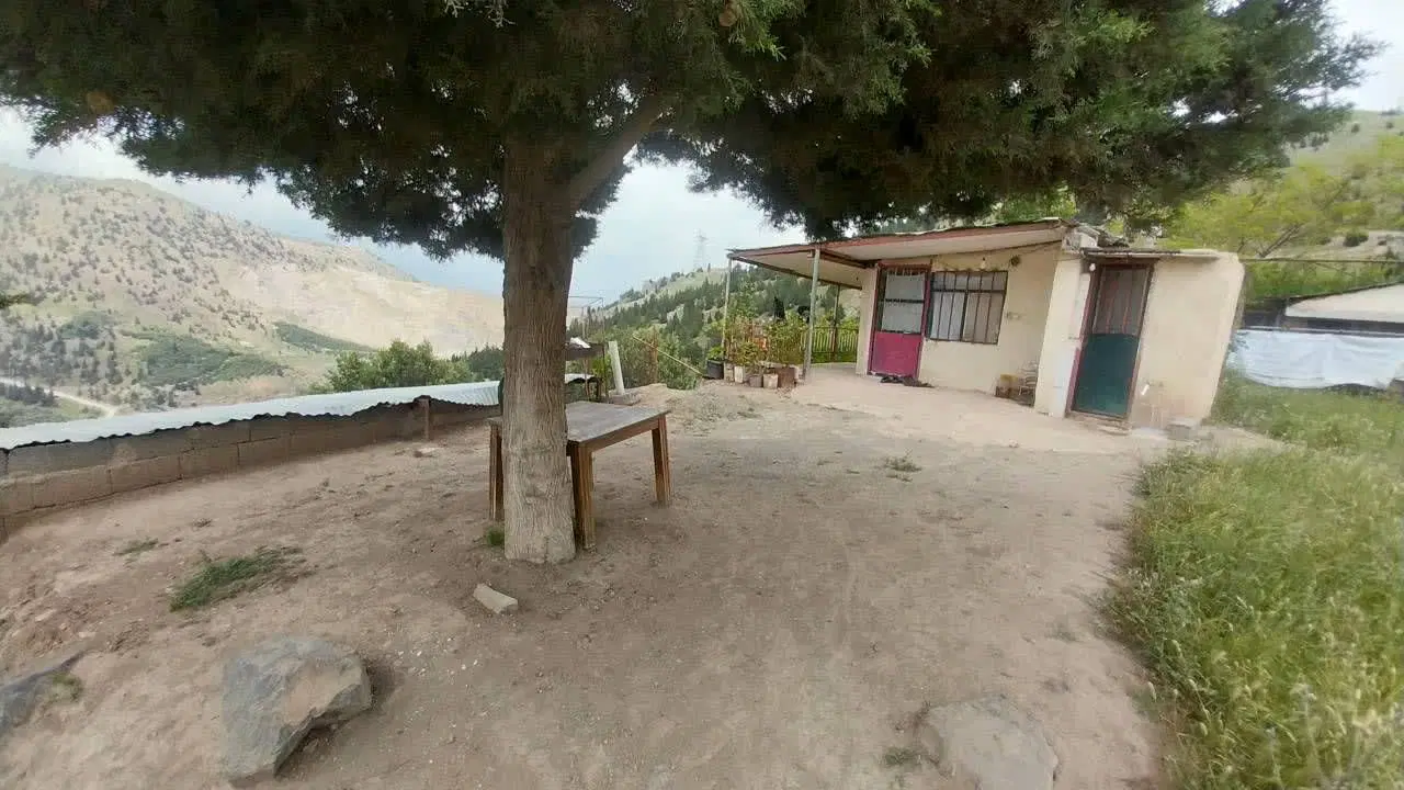۵۲۰۰ زمین سند‌دار مسکونی و باغی