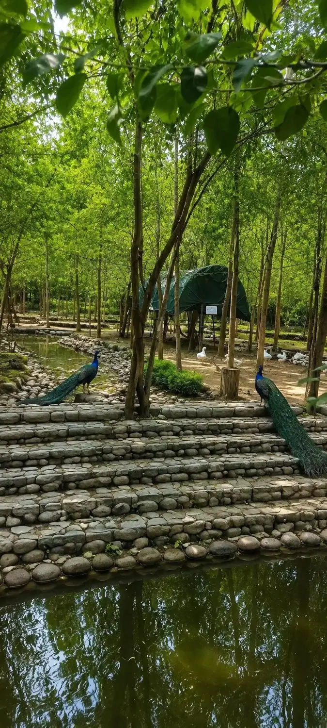 فروش ویلا درمنطقه توریستی و اقتصادی