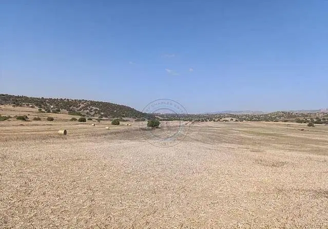 فروش تعدادی زمین