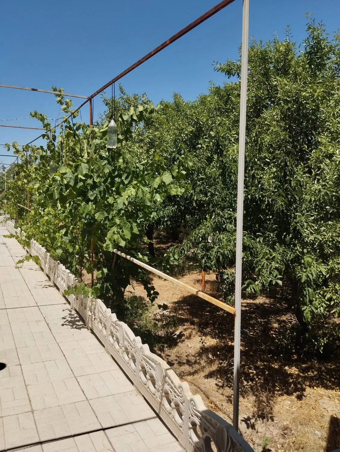باغ ویلایی ۴۳۰ متری در اسفهلان