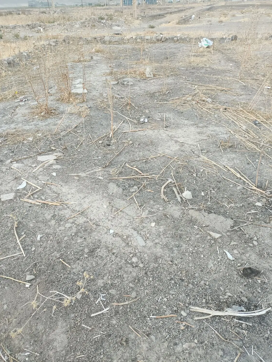 زمین مسکونی