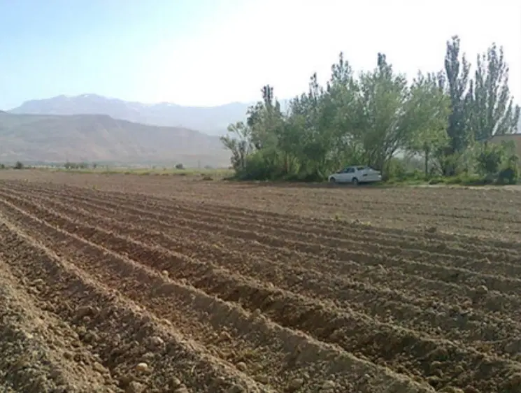 زمین باغ شهری