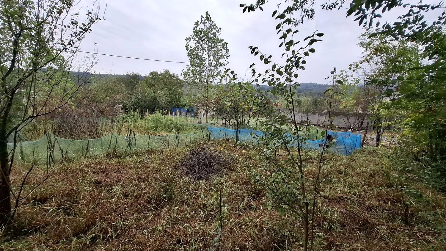 فروش زمین در روستای توریستی کچا(گیلان رشت)