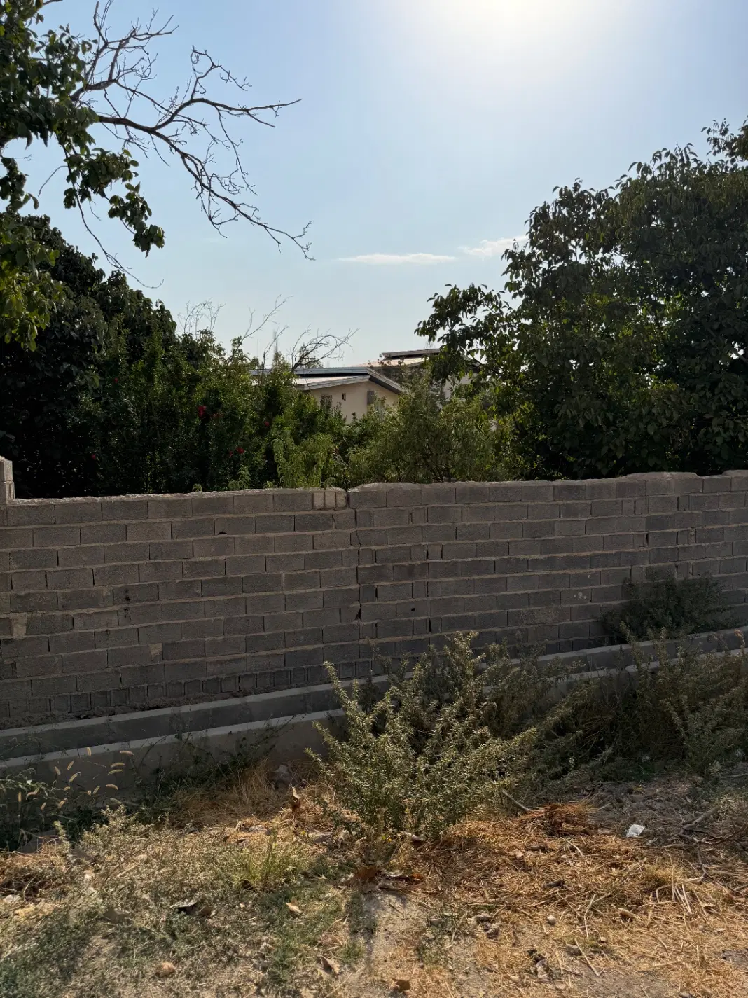باغ در کرشت پردیس