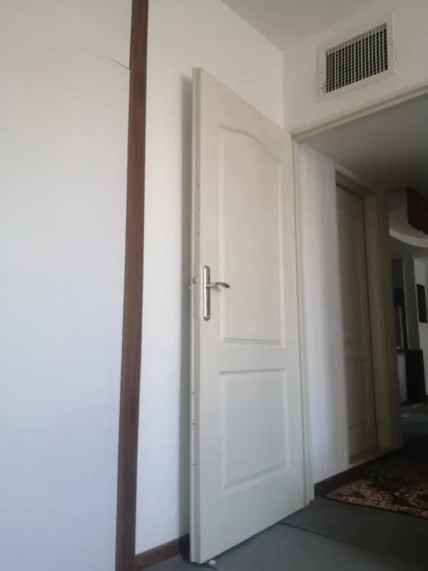 همخونه خانم موجه