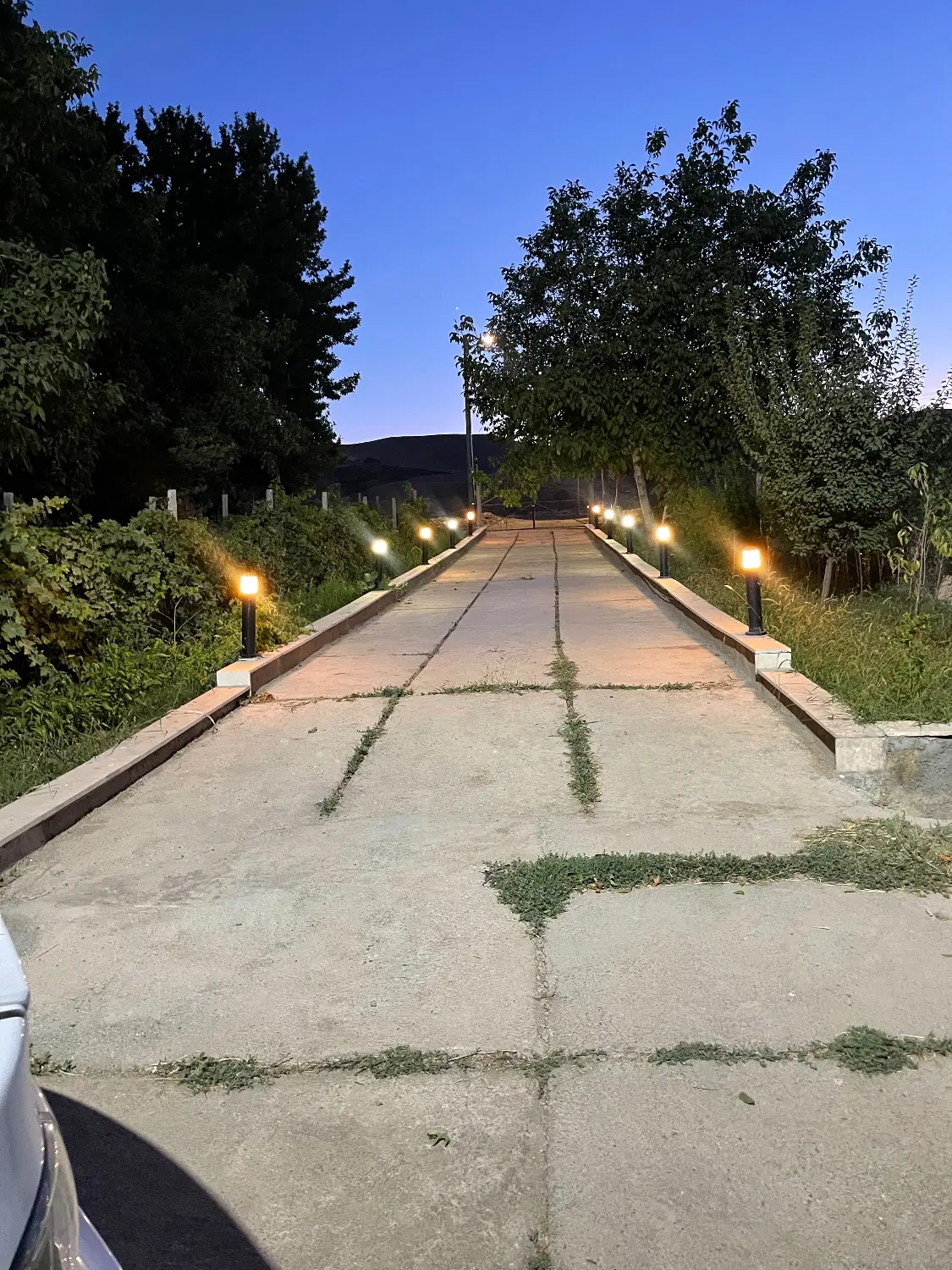 باغ میوه