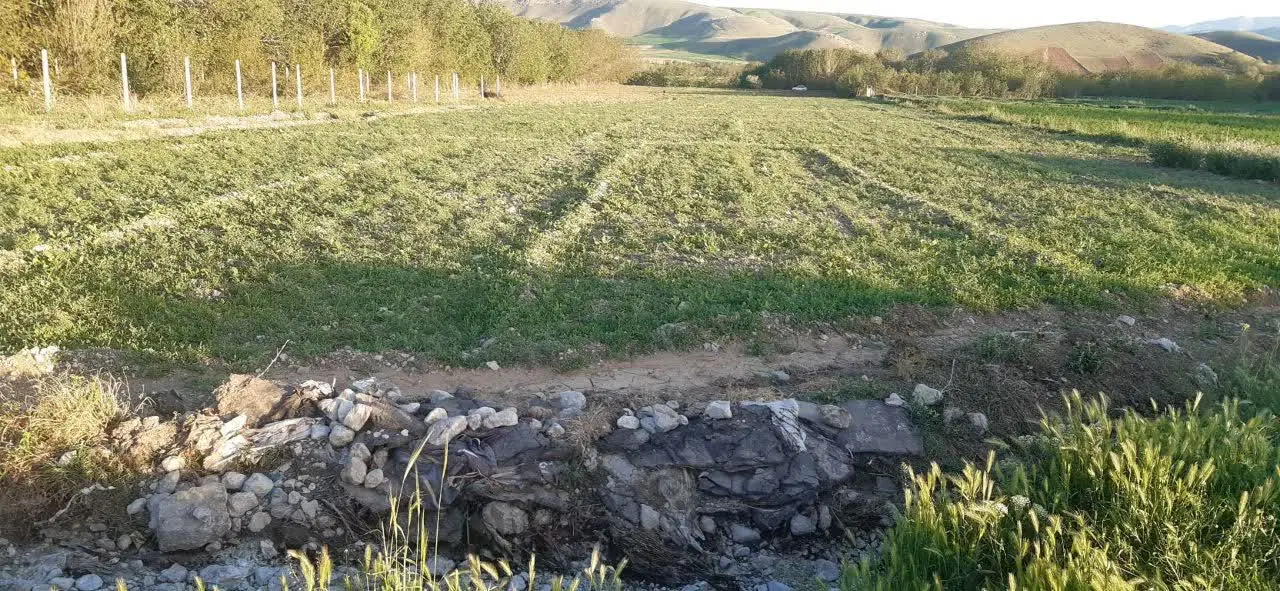 زمین کشاورزی