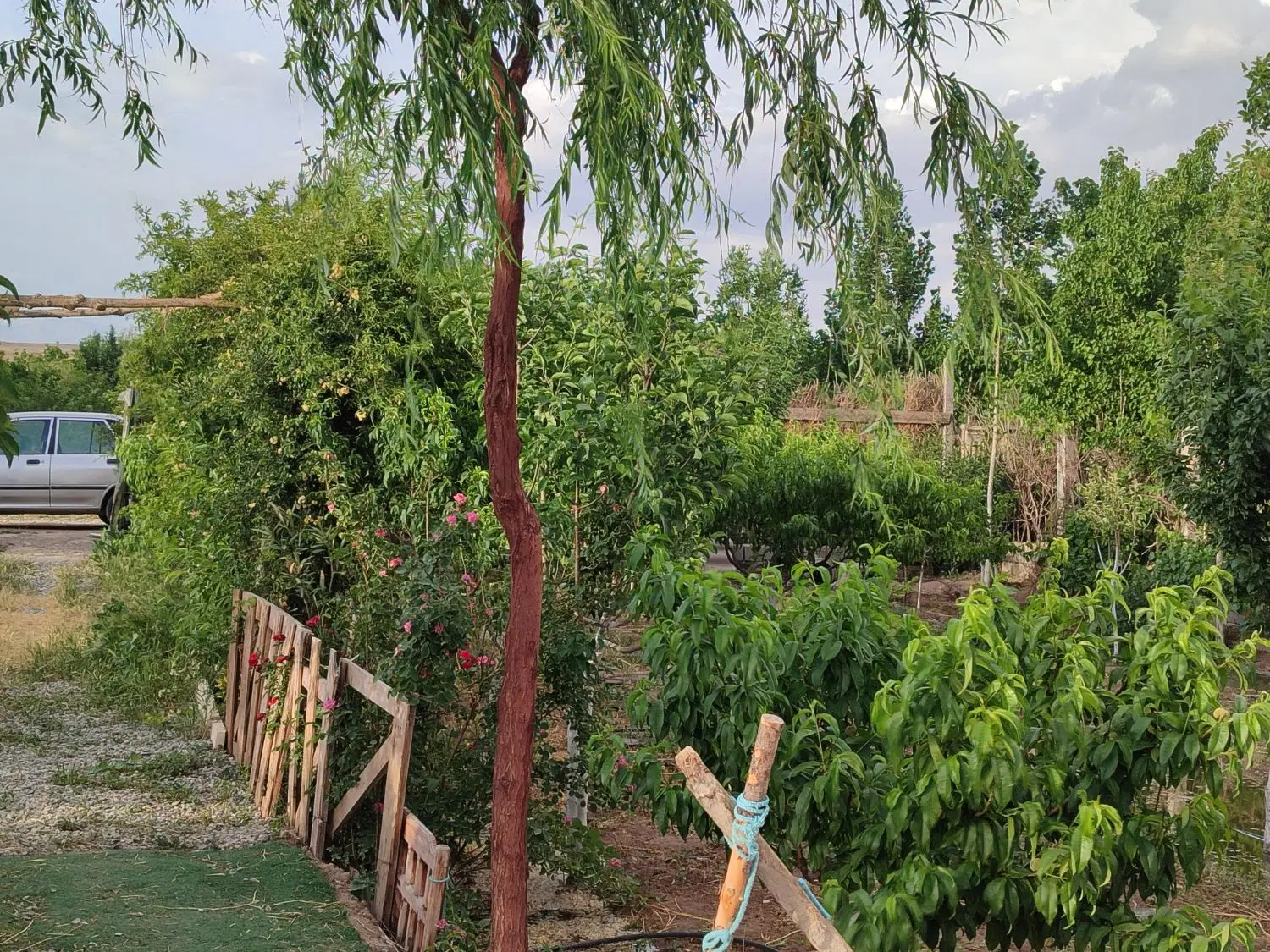 باغچه 500متری
