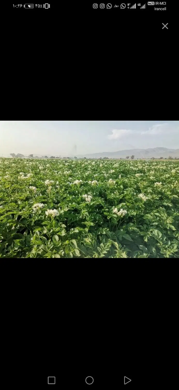 اجاره بلندمدت زمین کشاورزی