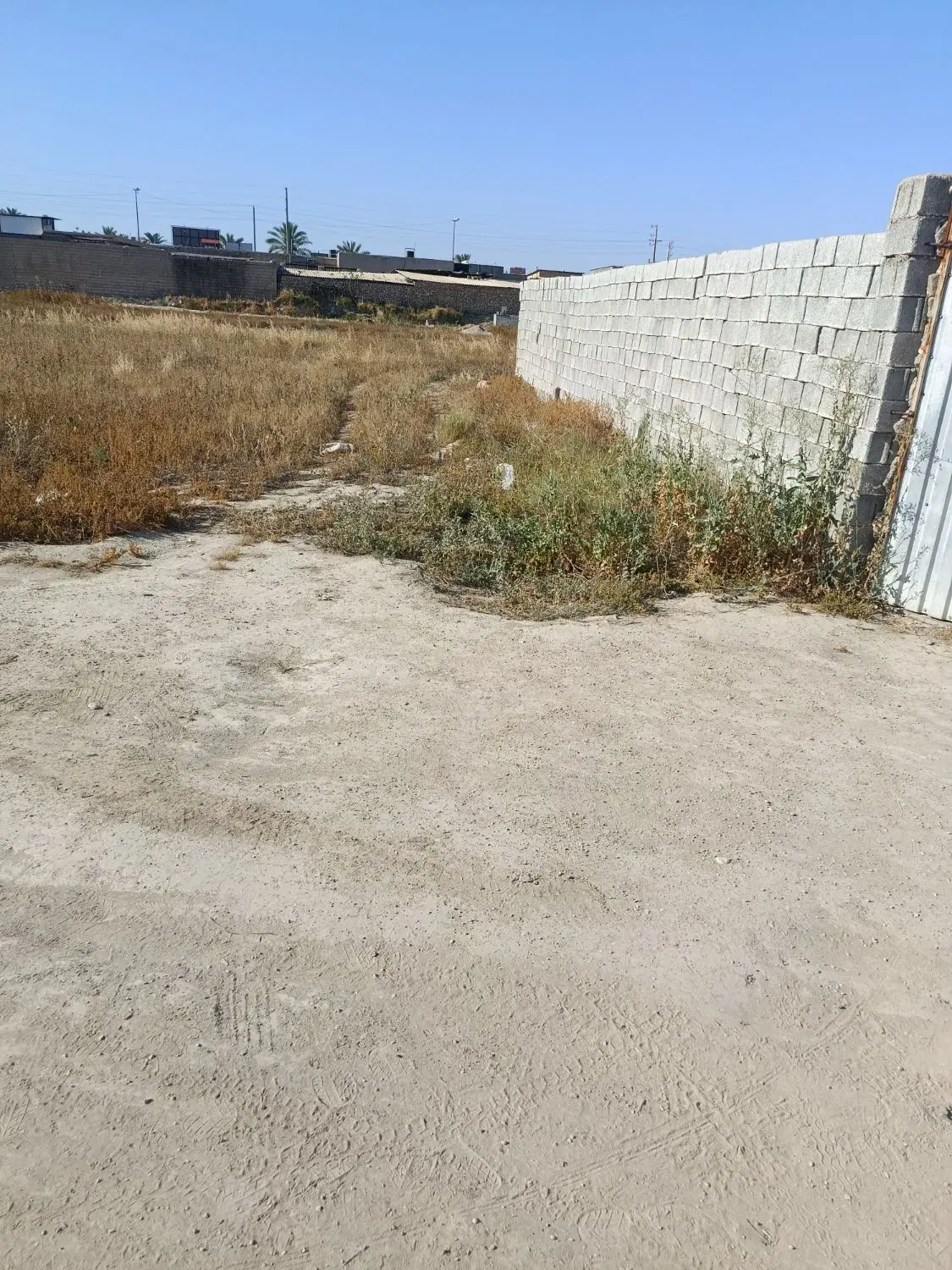 زمین باغ شهری