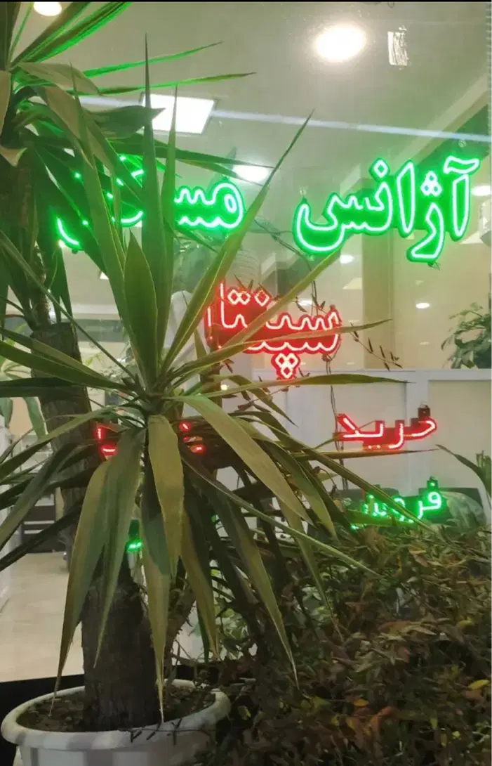 فرهنگیان فازیک