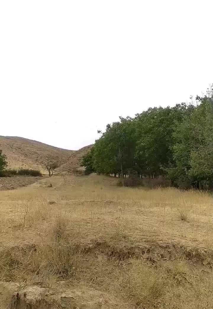 زمین مناسب باغ و کشاورزی