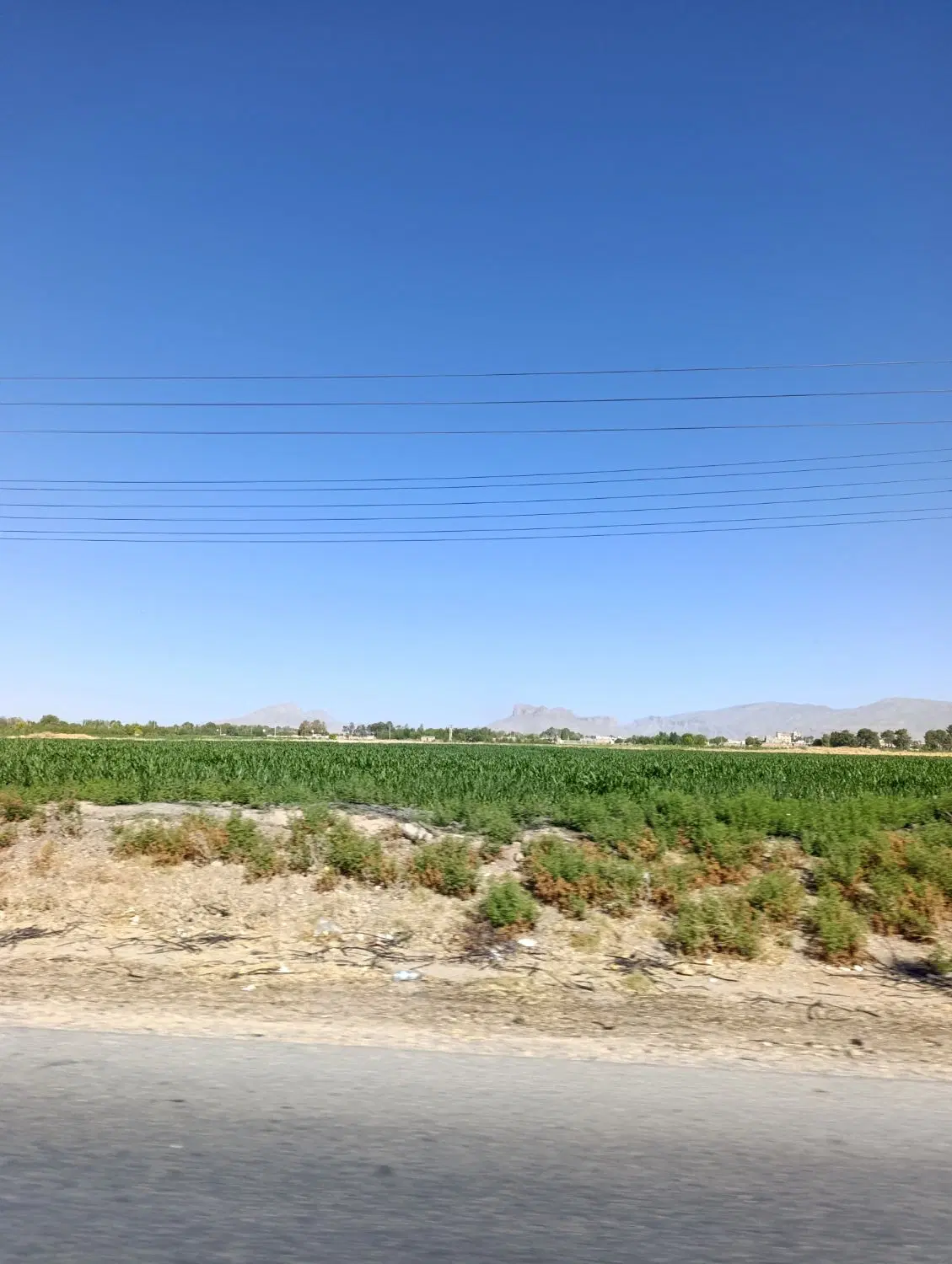 زمین
