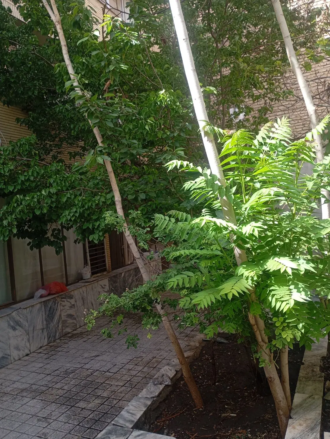 رهن و اجاره منزل طبقه همکف 115بنا115حیاط