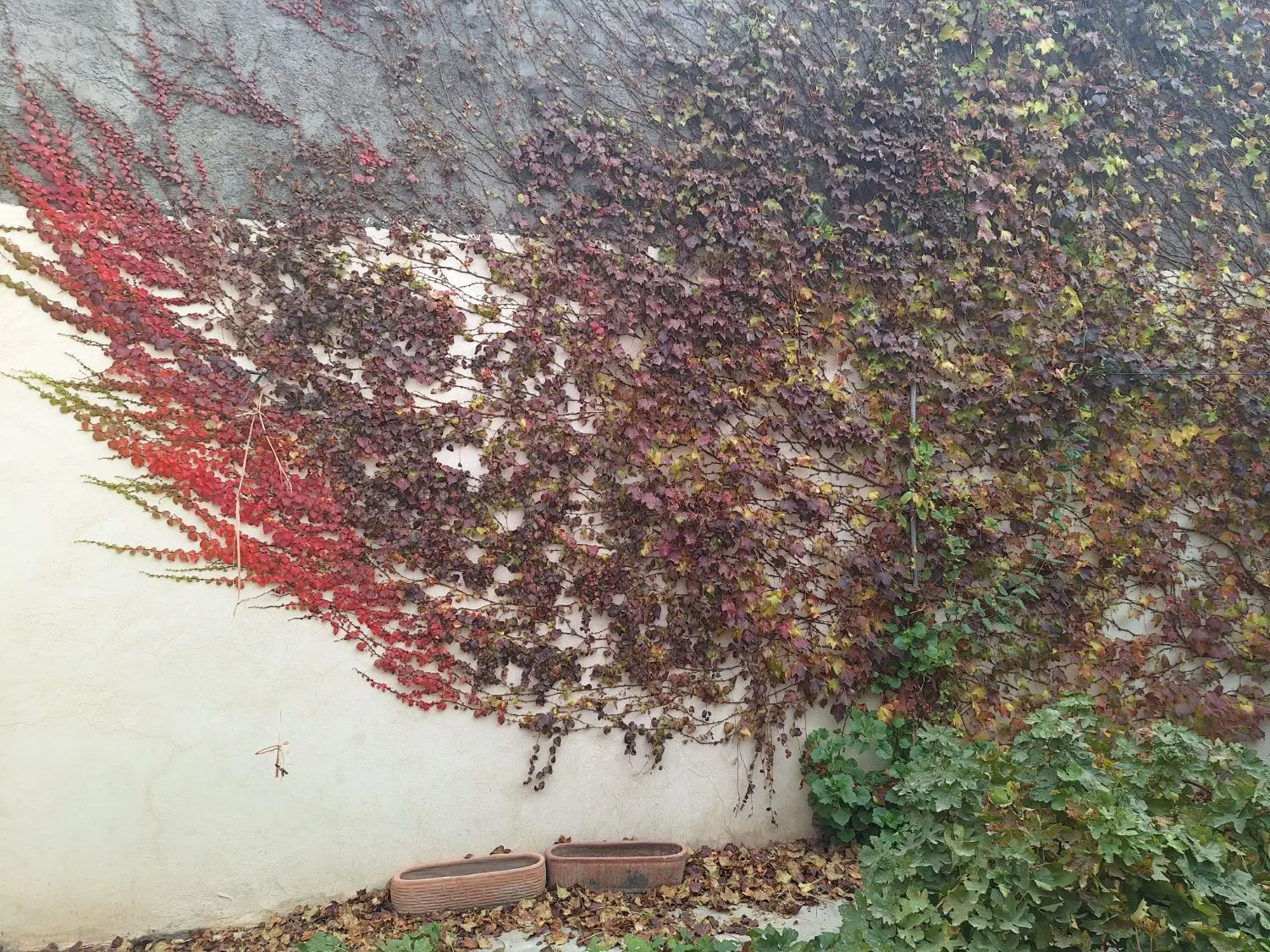منزل ویلایی گنبه ای
