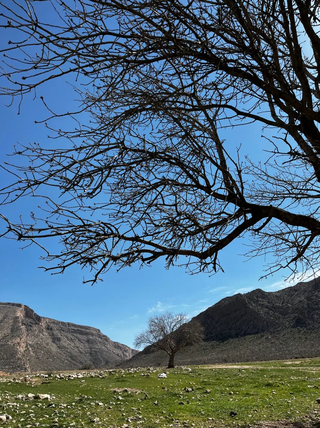 240 متر مسکونی در بستک