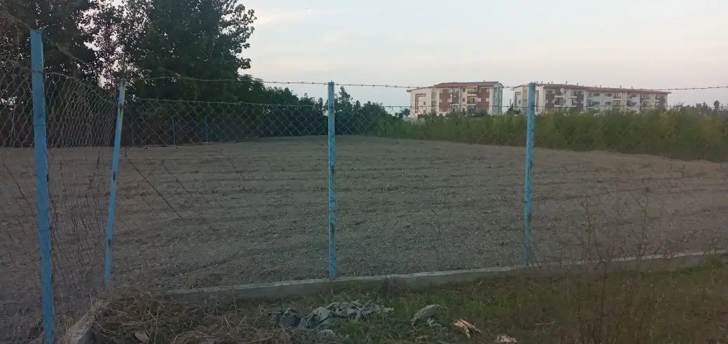 زمین کشاورزی در محدوده بافت در بندگز
