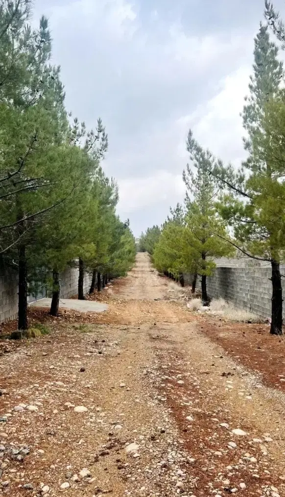 زمین باغ شهری دوکوهک