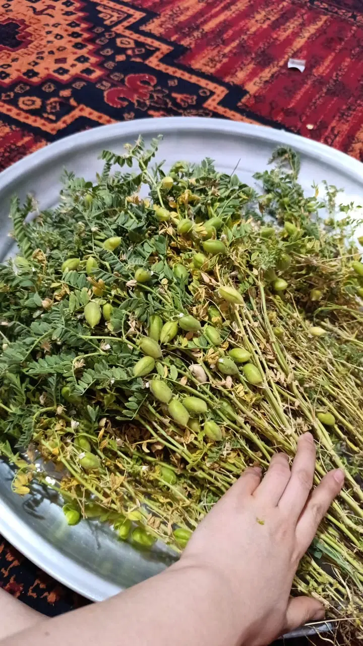 خانه  اجاره چیتاب