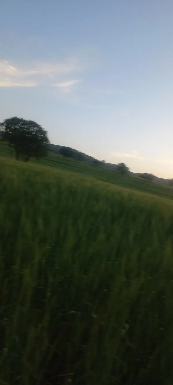 زمین فادو مشاغل