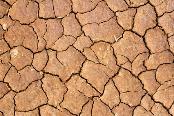 زمین باغی با آب چشمه