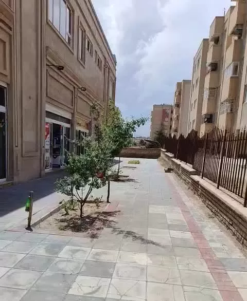 فروش تجاری های شرکت پلان در گلبهار