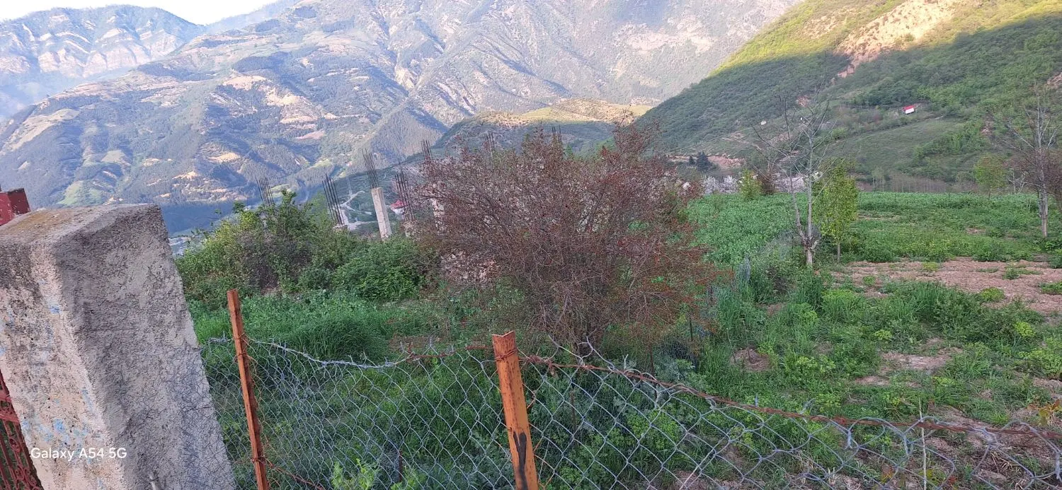 زمین باغی فروشی‌