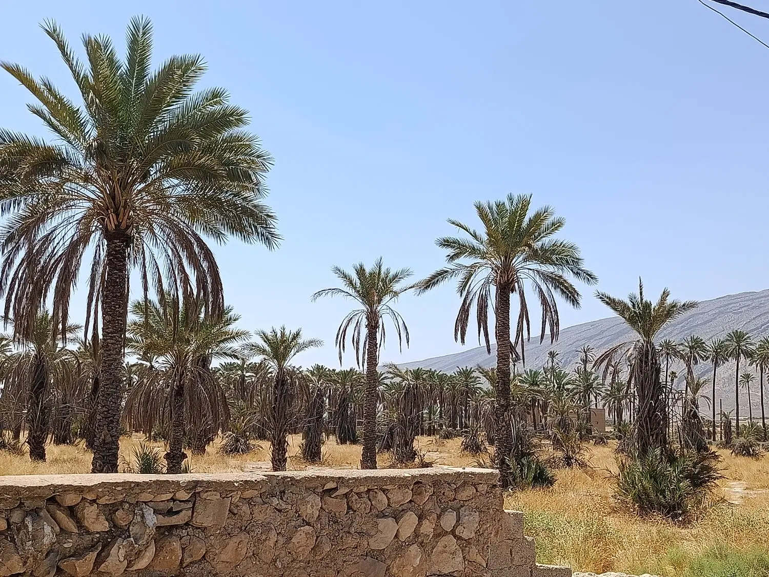 زمین شهرستان خفر