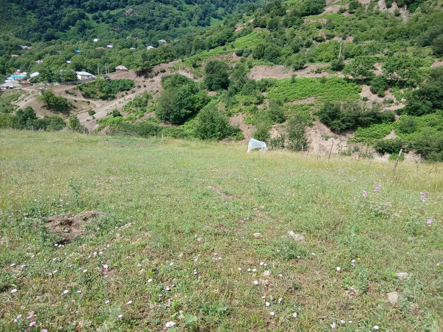 زمین ارده