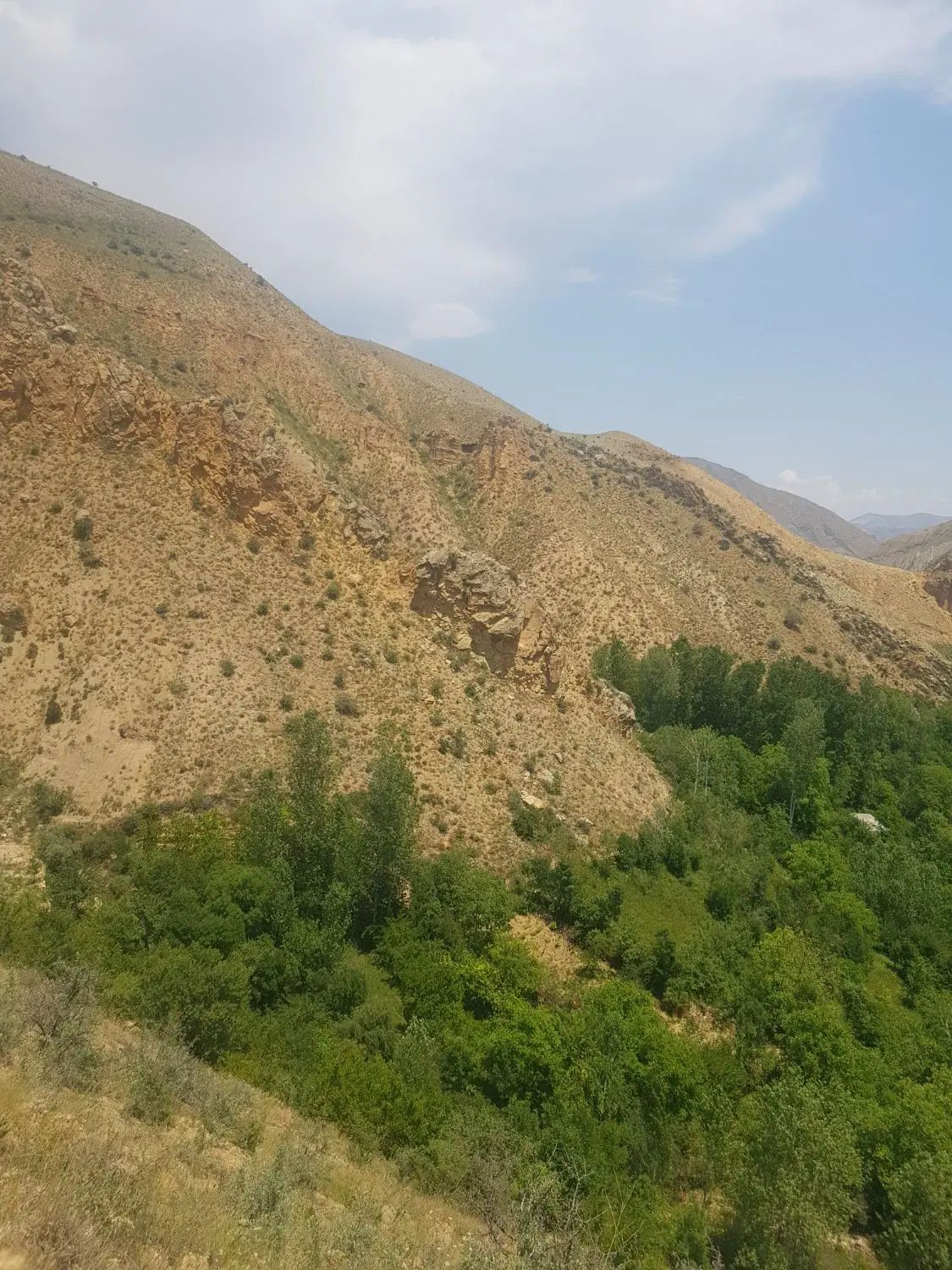 زمین در سعید اباد