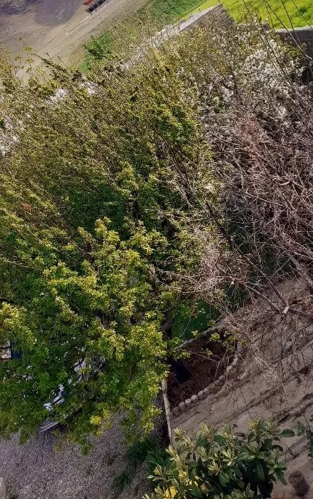 خانه ویلایی