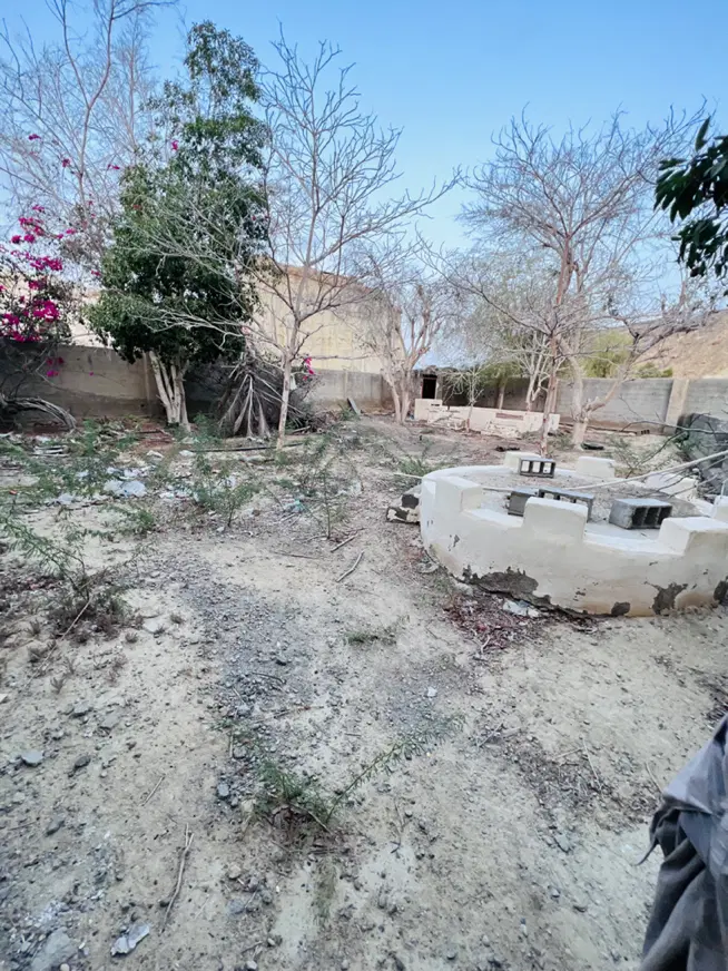 فروش سه قطعه زمین روستای تیس قیمت مقطوع