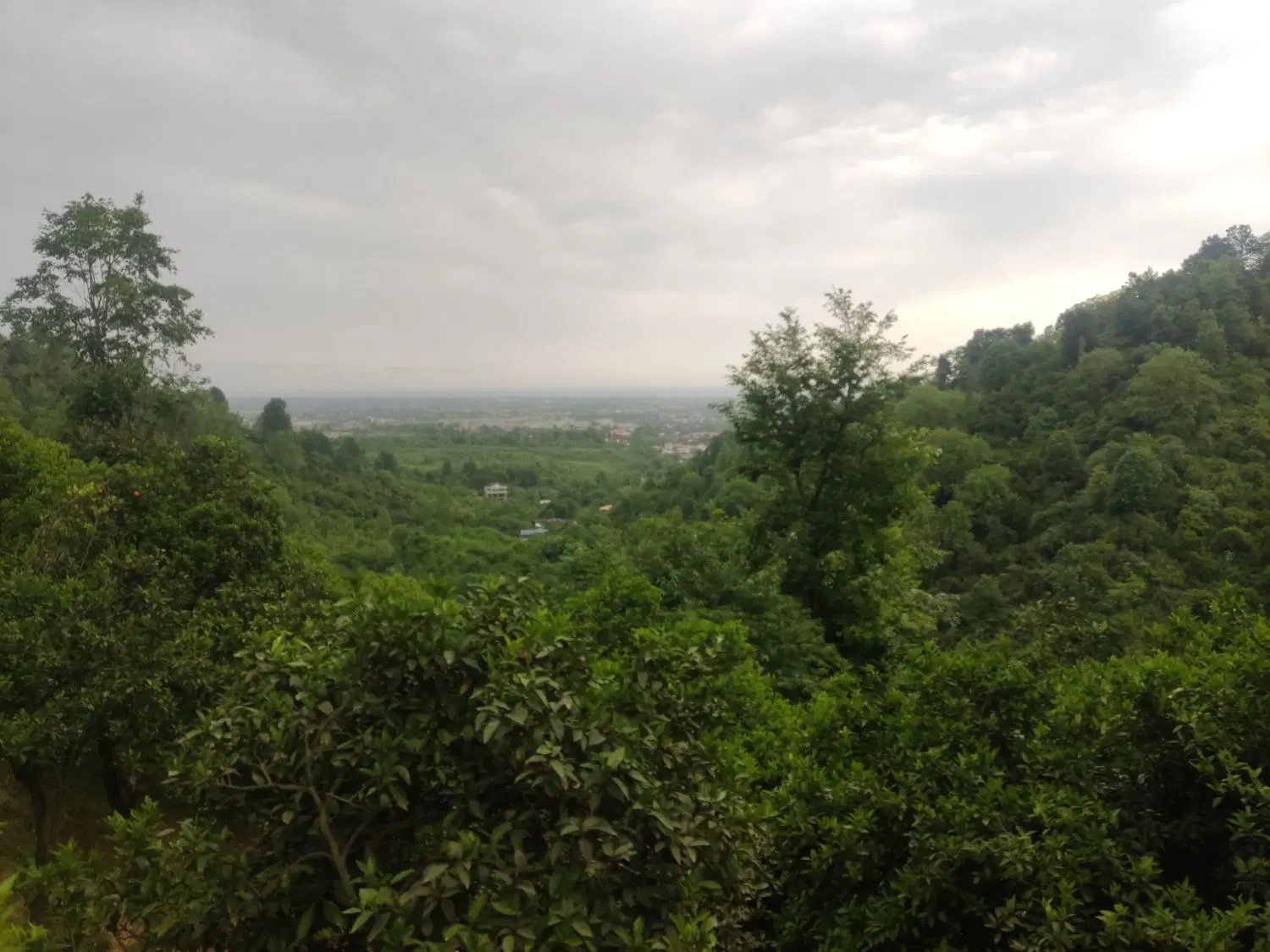 زمین باغی معاوضه با پراید