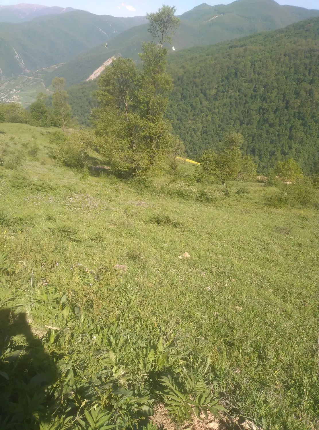 فروش زمین باغی در افراتخته