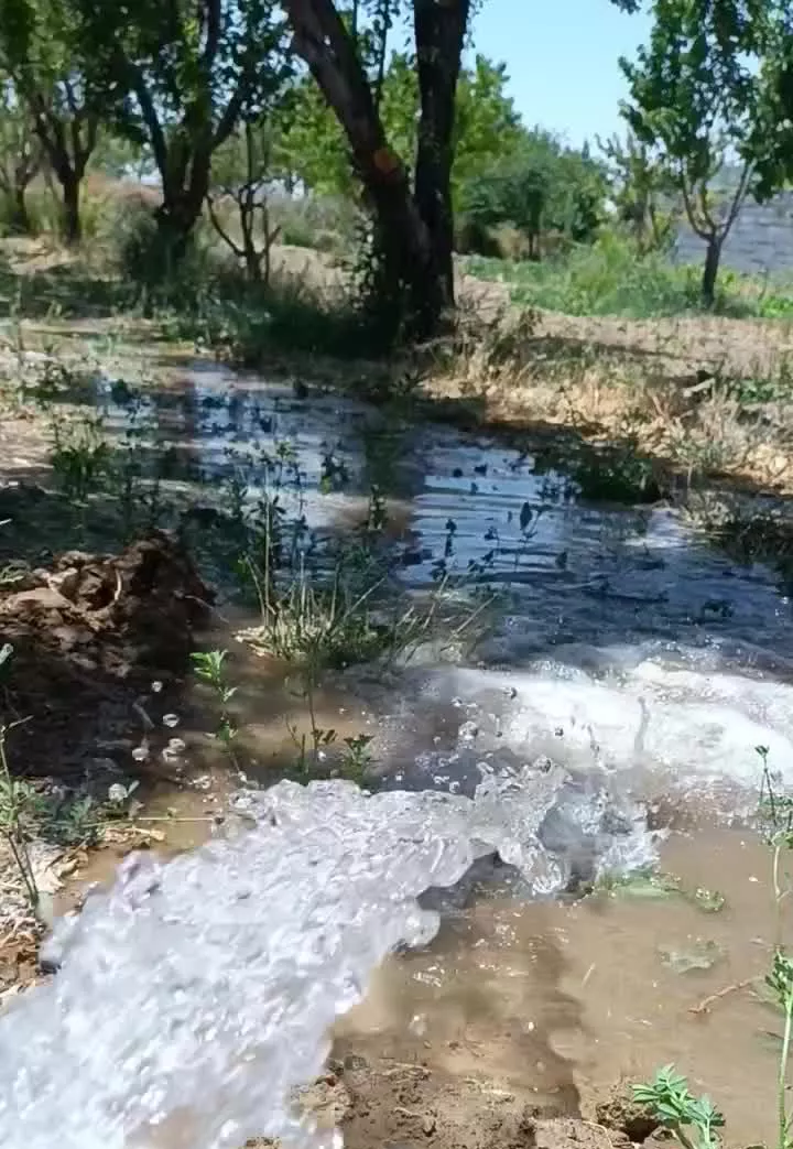 فروش باغ