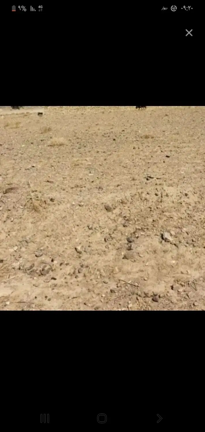 زمین بنیادی دهنو