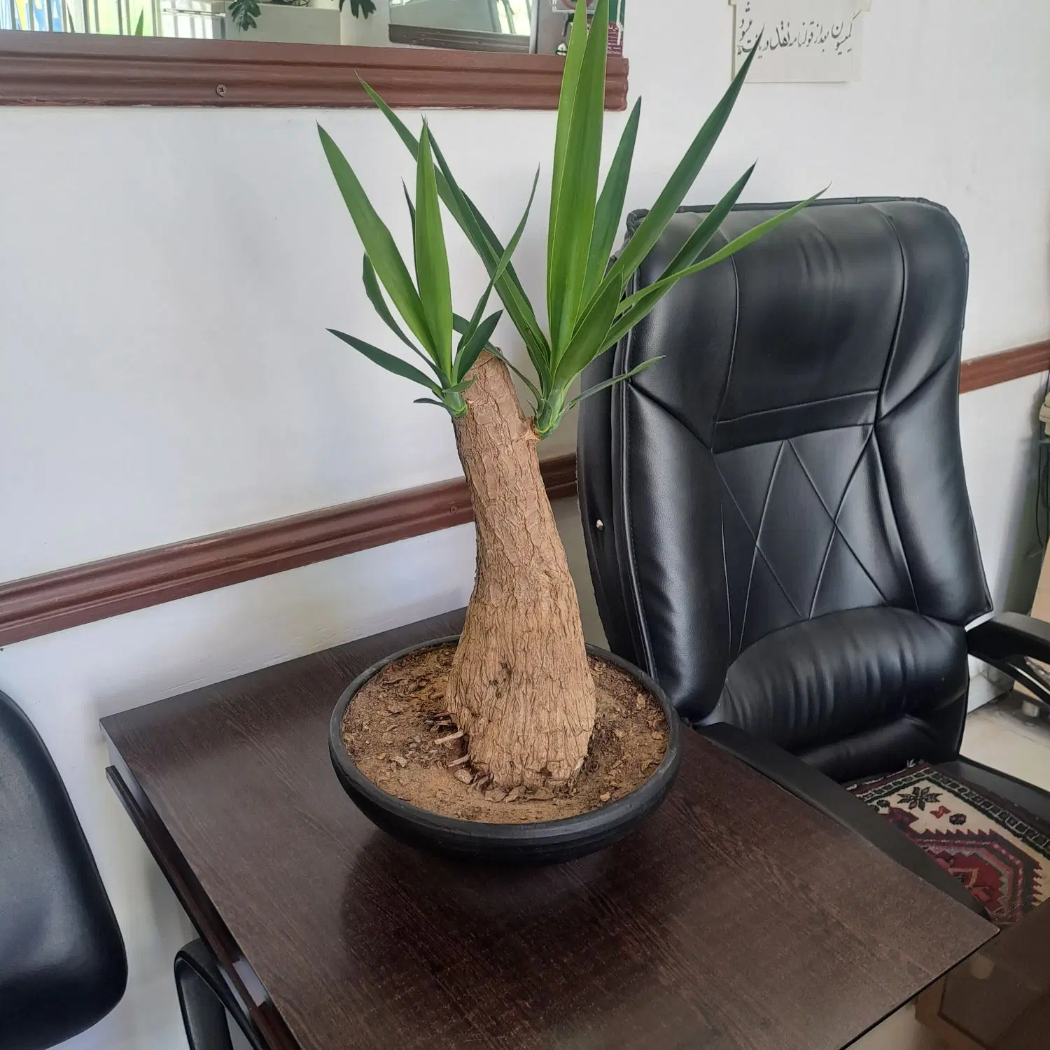 مغازه اجاره ای سوپر مارکت