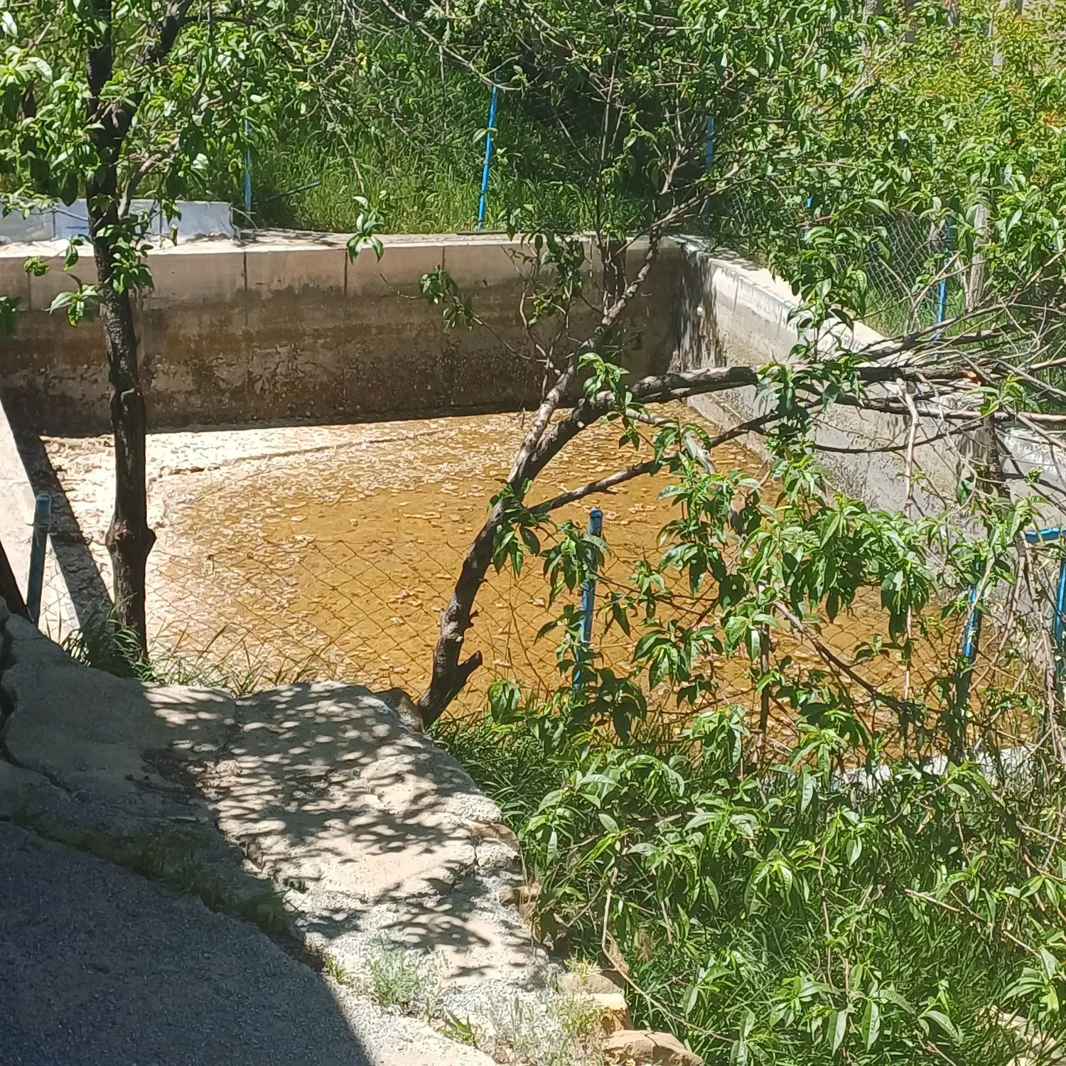 اجاره ی خانه باغ