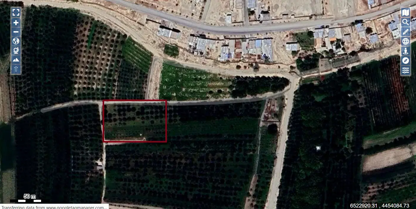 باغ میوه ابتدای روستای قیطاقی