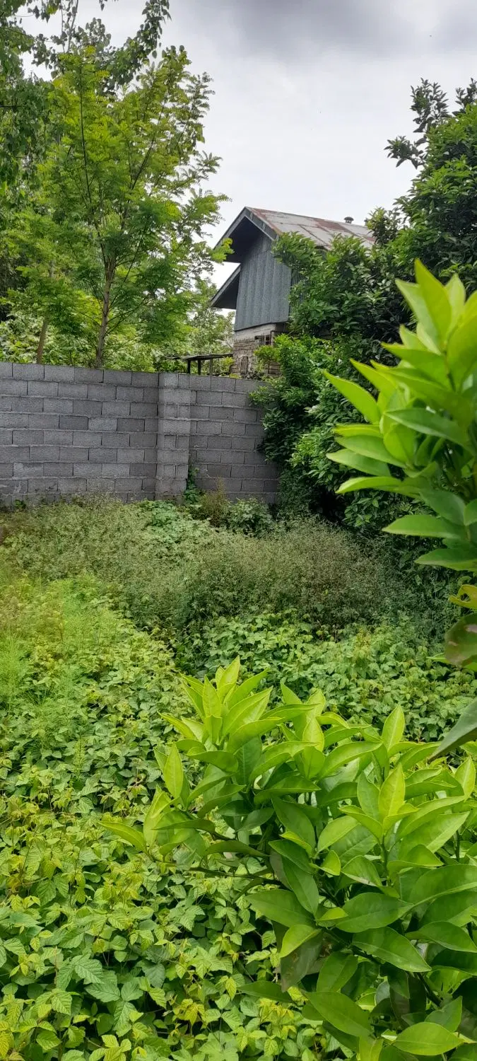 زمین مسکونی بمتراژ 173 دو بر کوچه 8متری