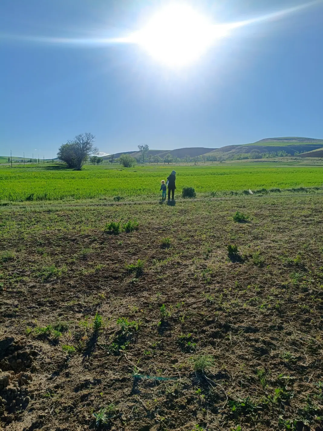 زمین آبی اجاره میخوام