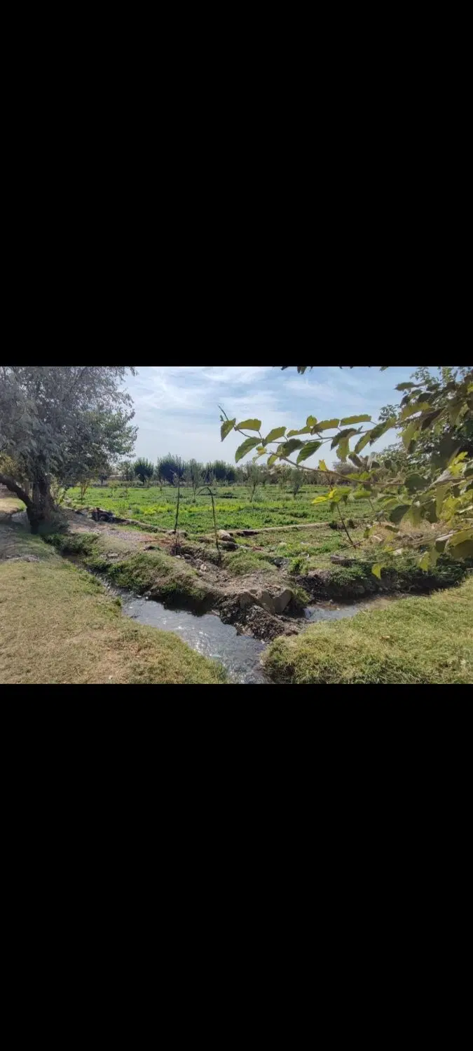 ۱۰۰۰ متر زمین رباط پایین
