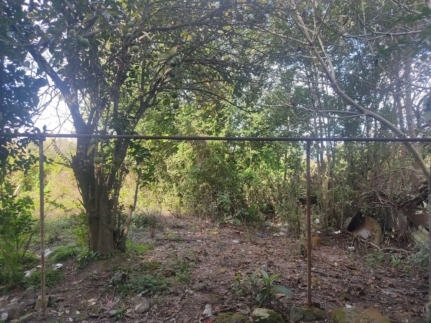 زمین مسکونی