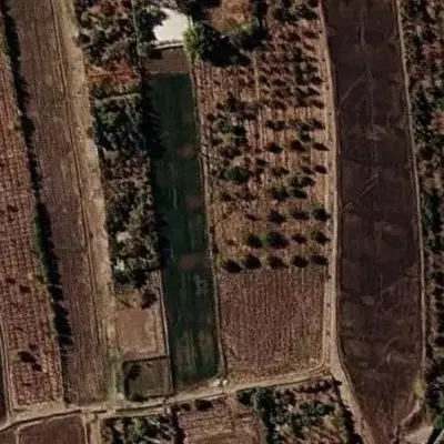 زمین کشاورزی