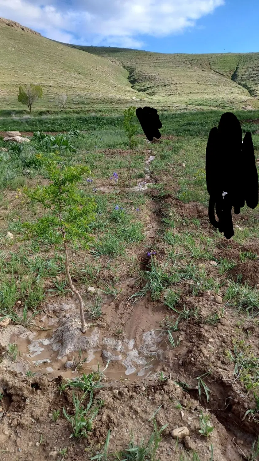 باغ فروشی 23کیلومتری زنجان