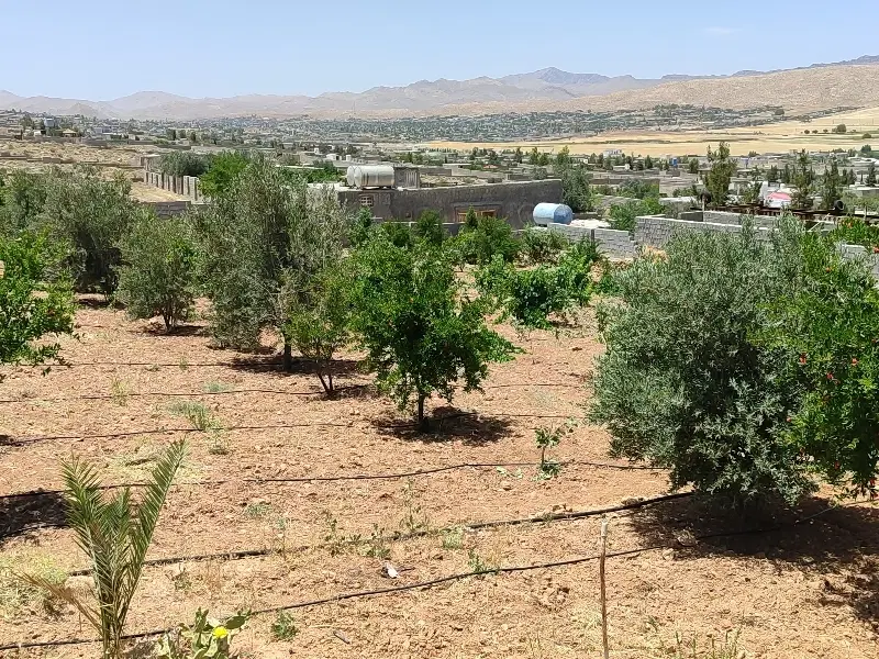 باغ خالد آباد F37