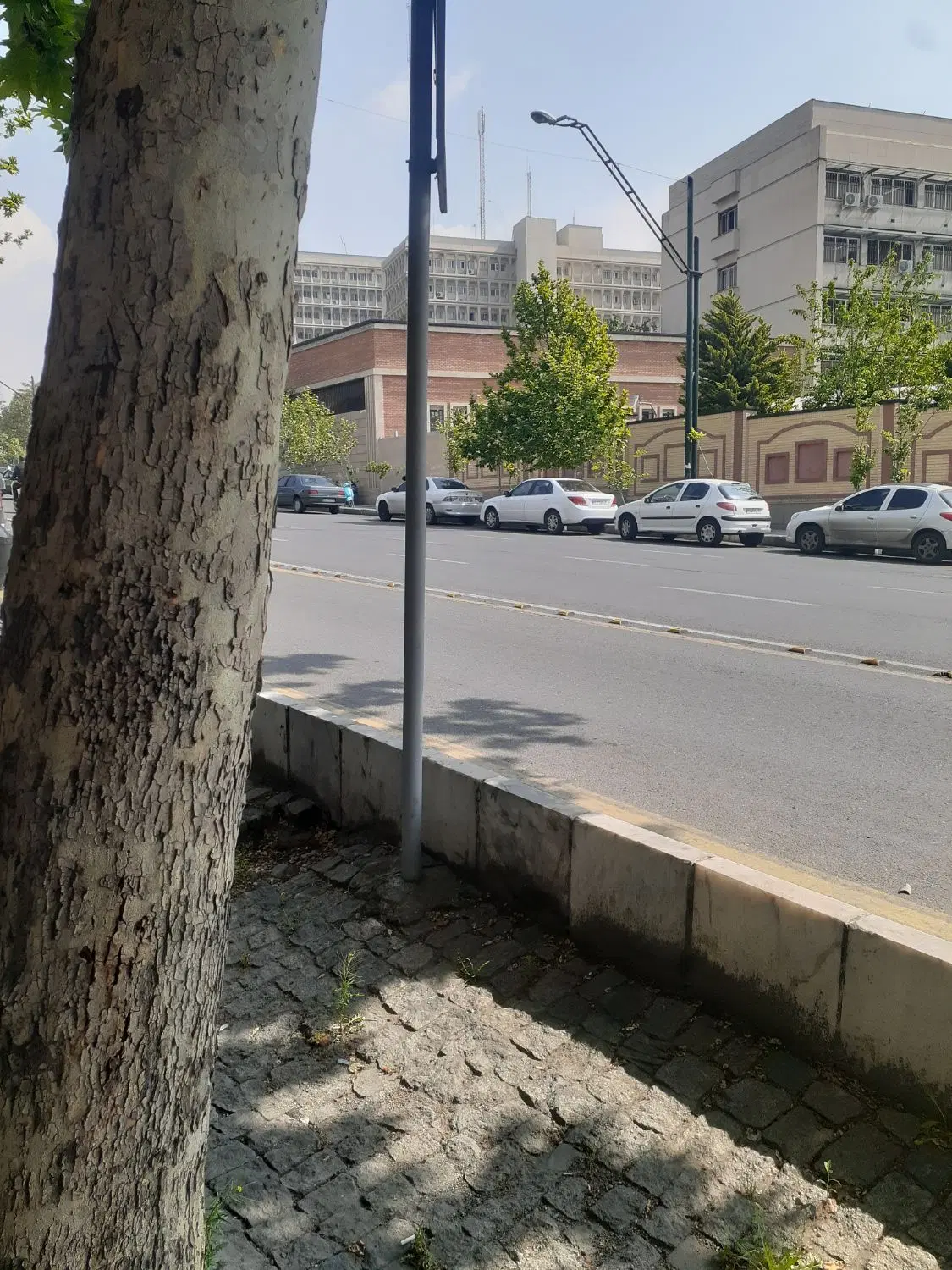 فروش زمین در خیابان پیر قلی زاده