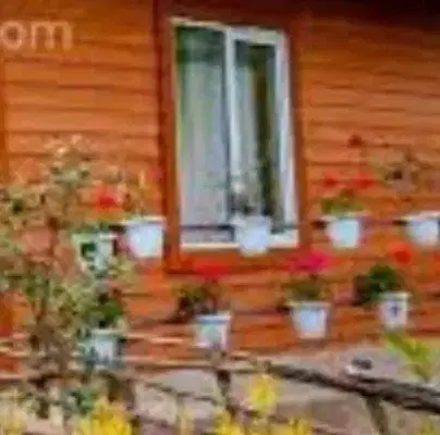 سوییت